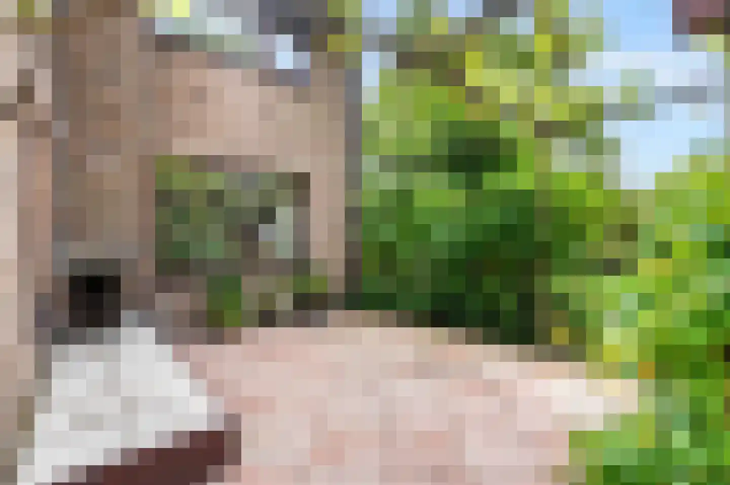 Holterberg 17 Zoetermeer thumbnail 35