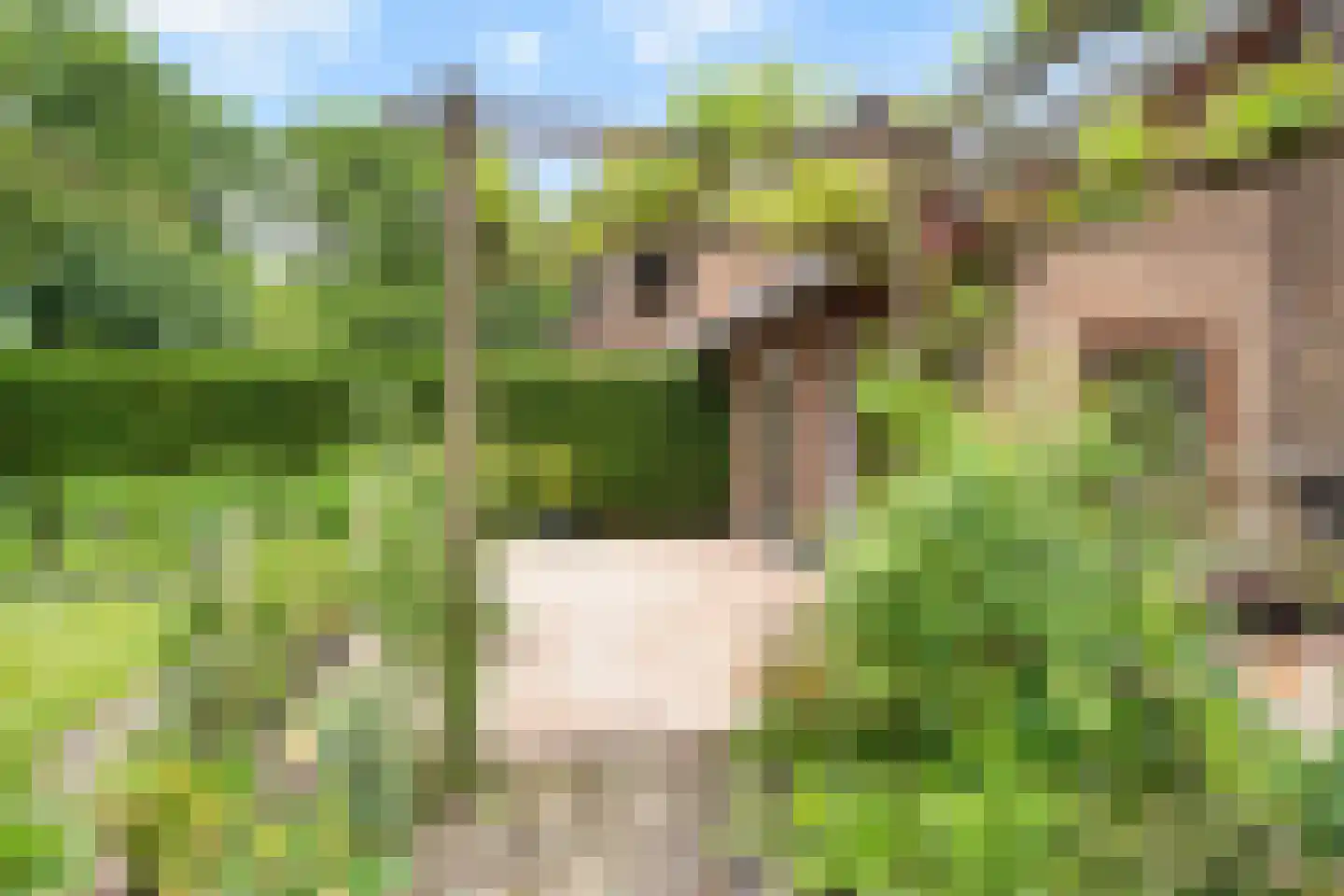 Holterberg 17 Zoetermeer thumbnail 36