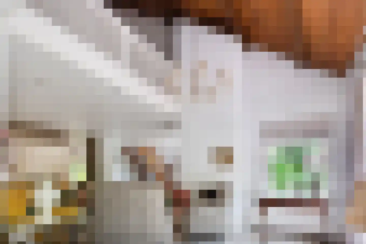 Holterberg 17 Zoetermeer thumbnail 37