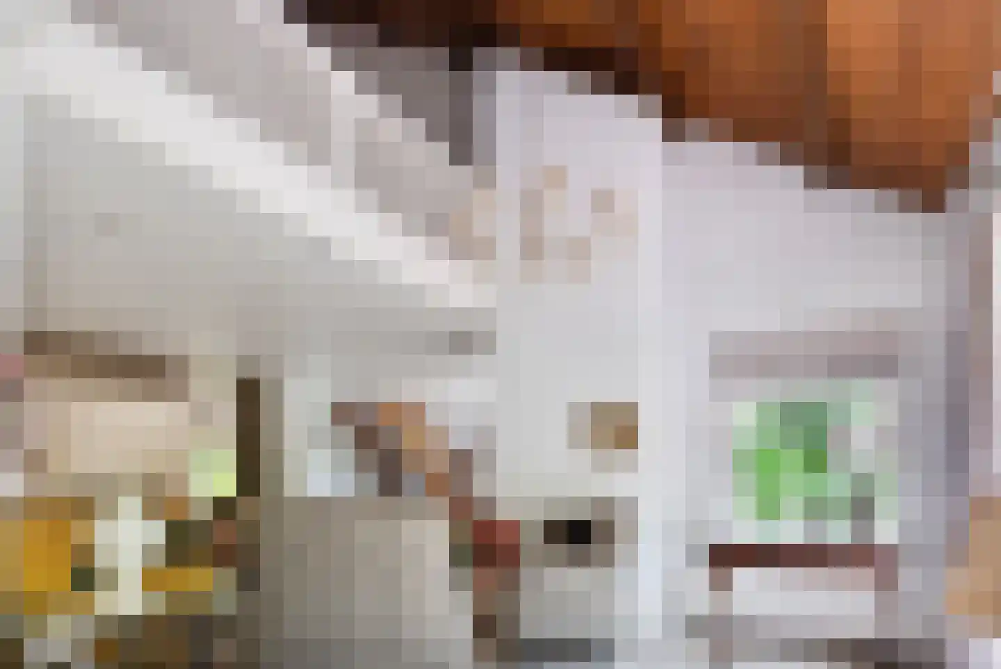 Holterberg 17 Zoetermeer thumbnail 38