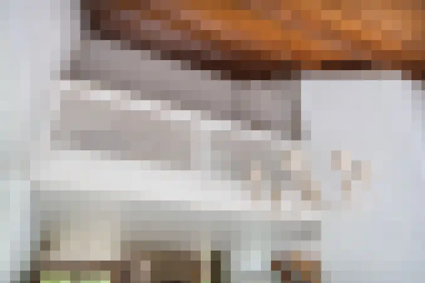 Holterberg 17 Zoetermeer thumbnail 39