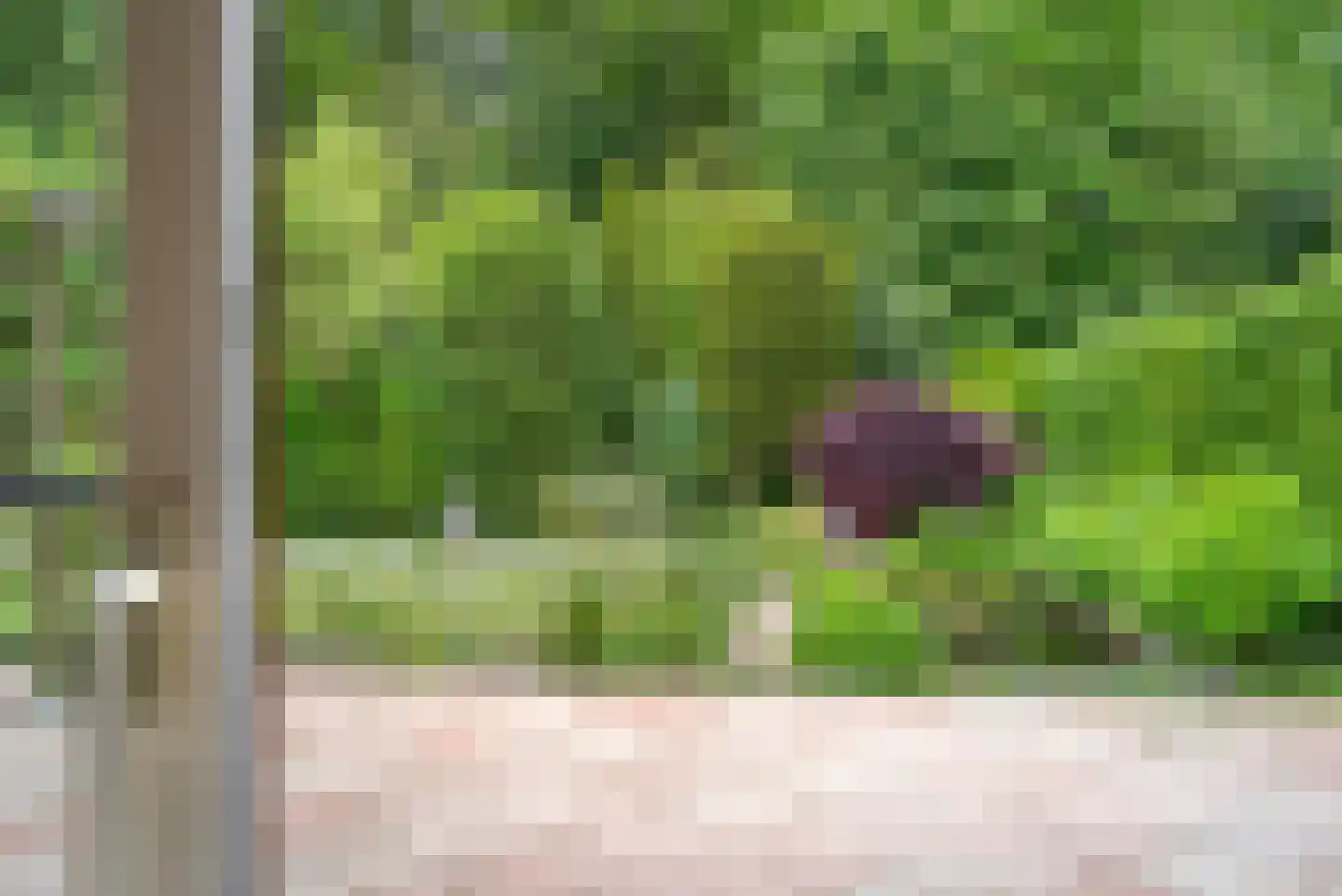 Holterberg 17 Zoetermeer thumbnail 45