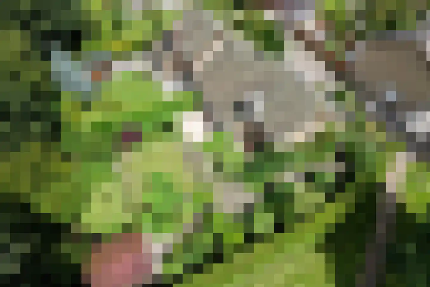 Holterberg 17 Zoetermeer thumbnail 6