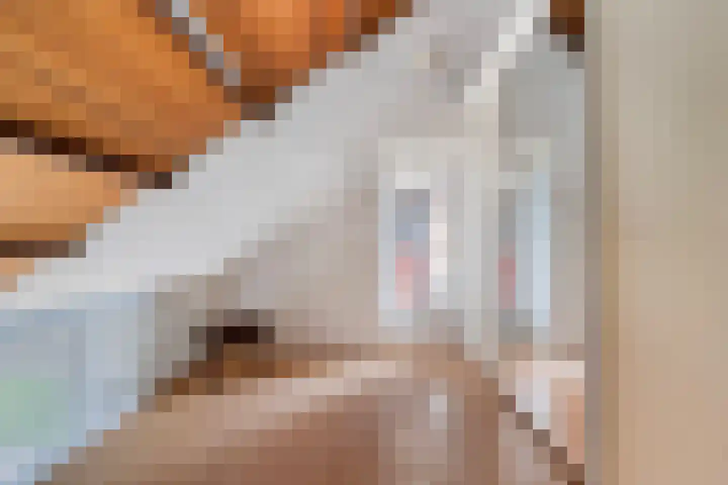 Holterberg 17 Zoetermeer thumbnail 61