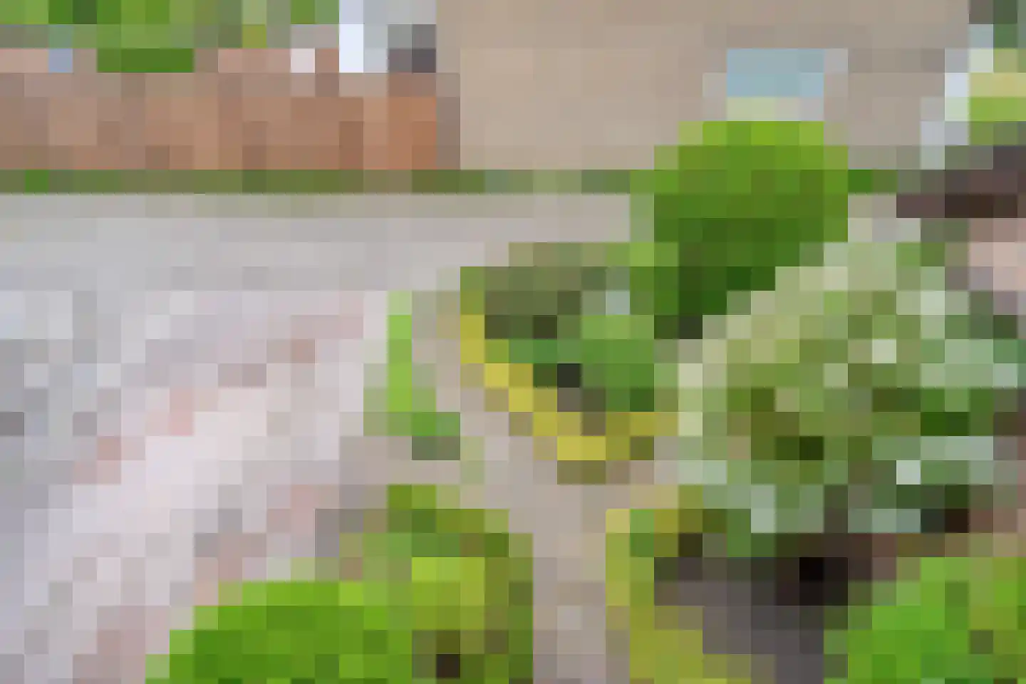 Holterberg 17 Zoetermeer thumbnail 64