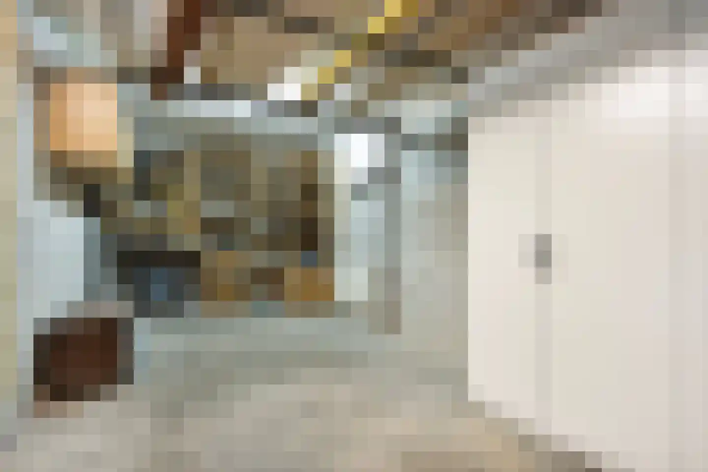 Holterberg 17 Zoetermeer thumbnail 65