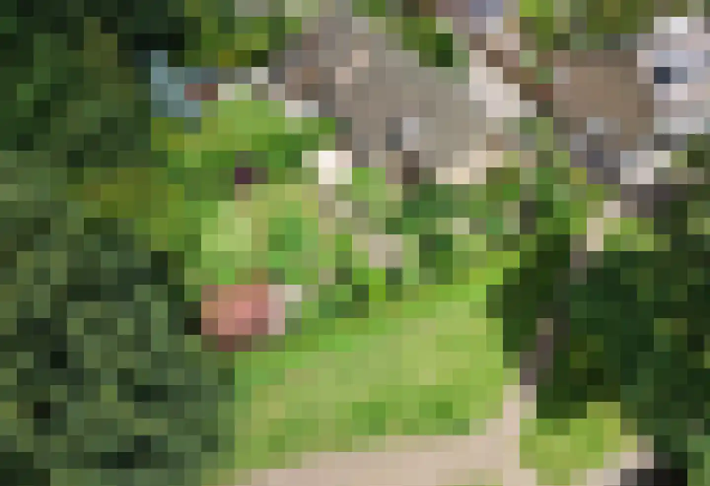 Holterberg 17 Zoetermeer thumbnail 68