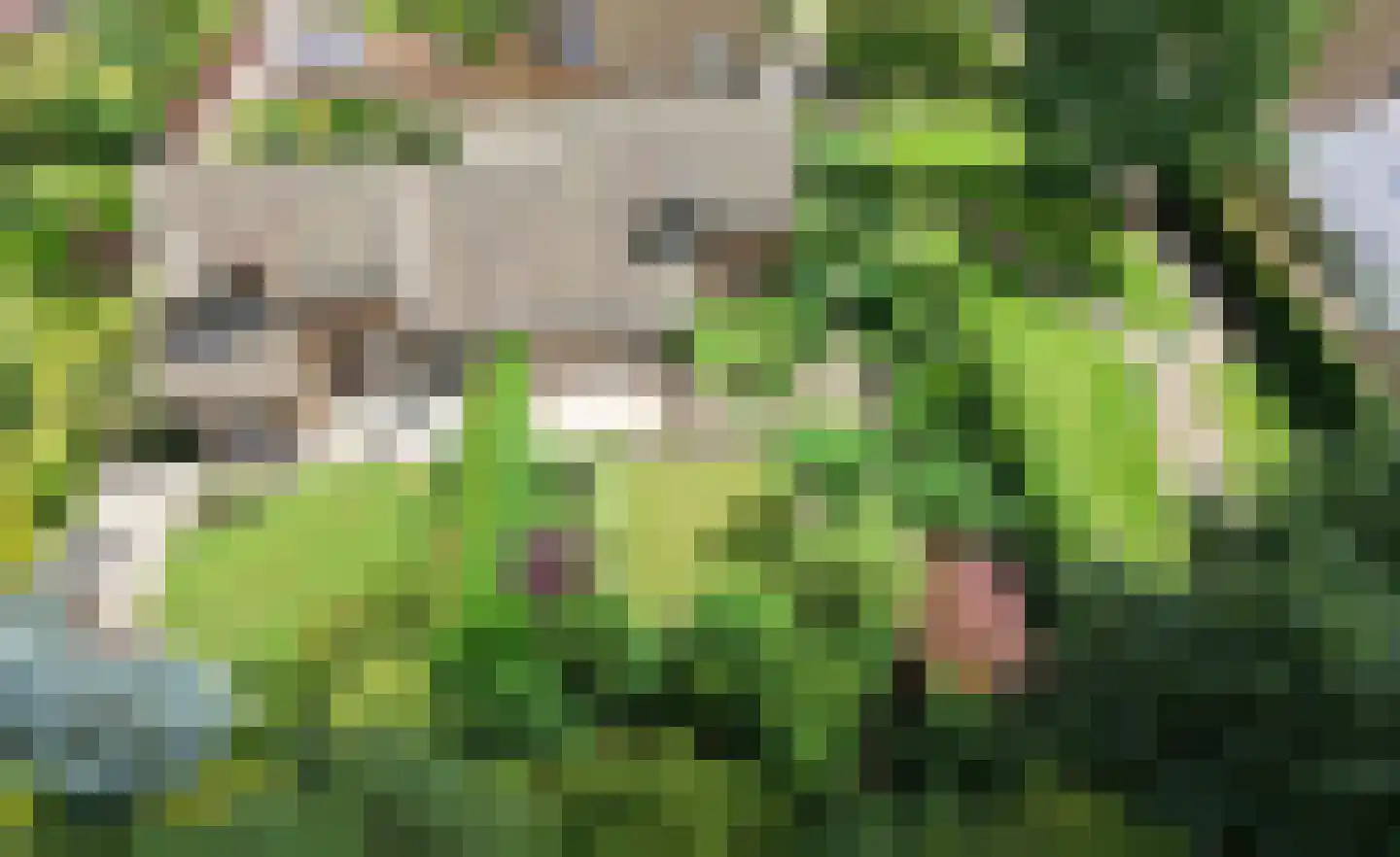 Holterberg 17 Zoetermeer thumbnail 69