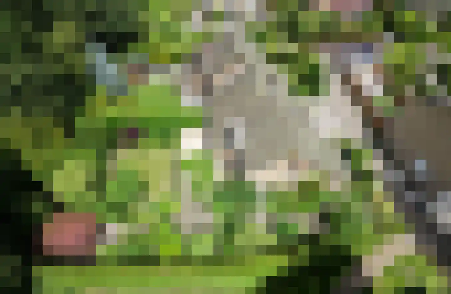 Holterberg 17 Zoetermeer thumbnail 70