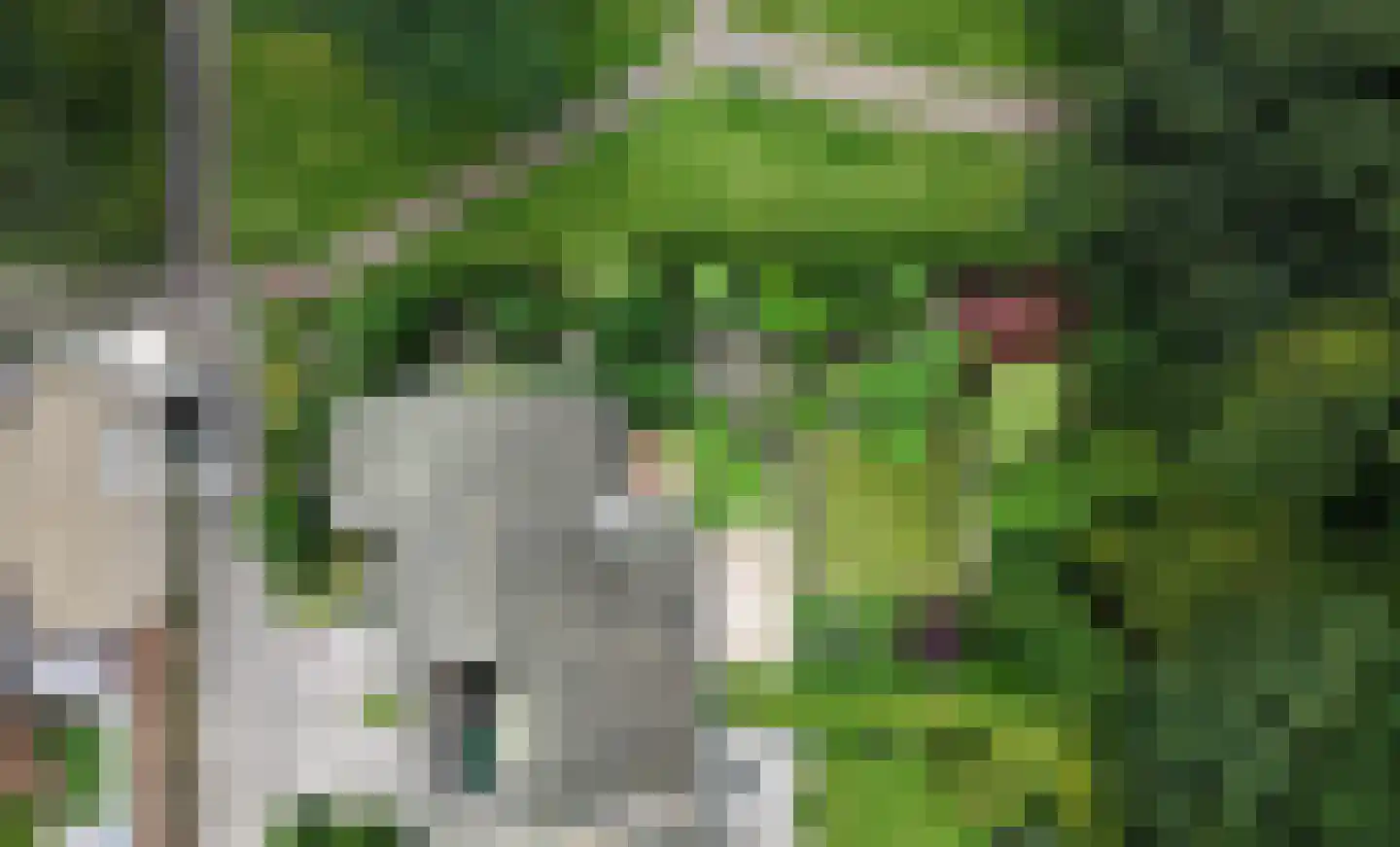 Holterberg 17 Zoetermeer thumbnail 71