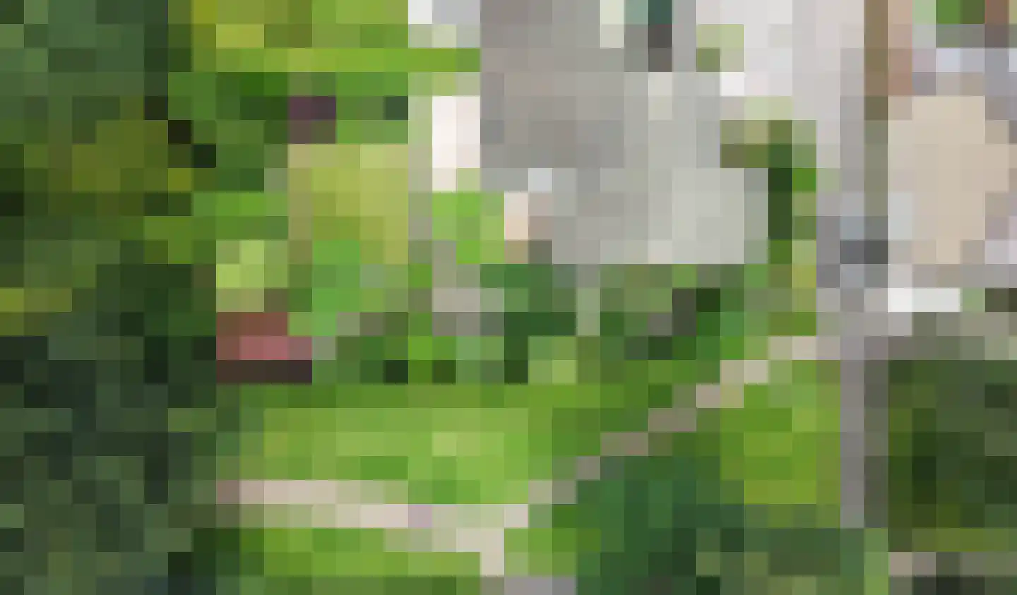 Holterberg 17 Zoetermeer thumbnail 72