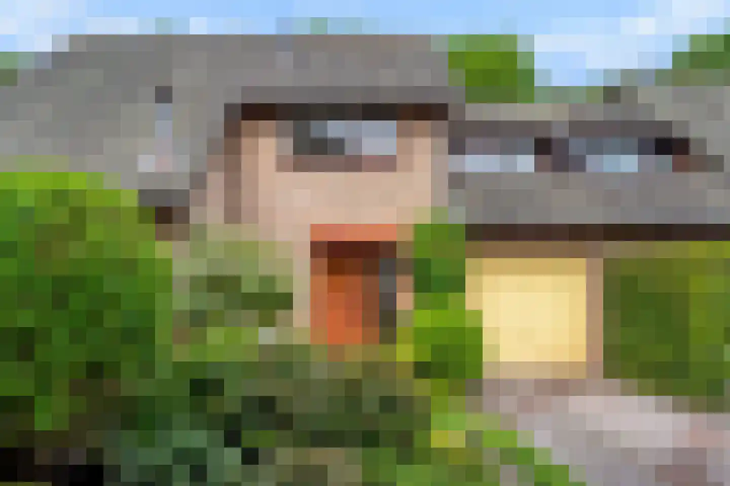 Holterberg 17 Zoetermeer thumbnail 8