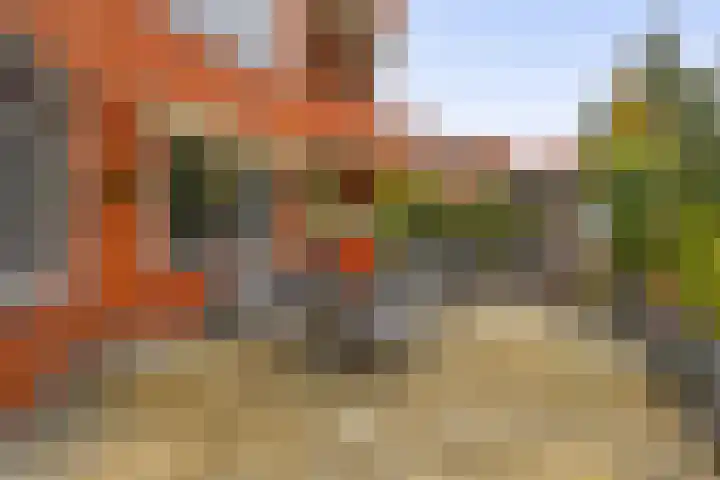 Holterberg 173 Capelle aan den IJssel thumbnail 23