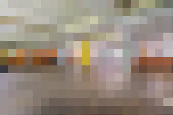 Holterberg 173 Capelle aan den IJssel thumbnail 31