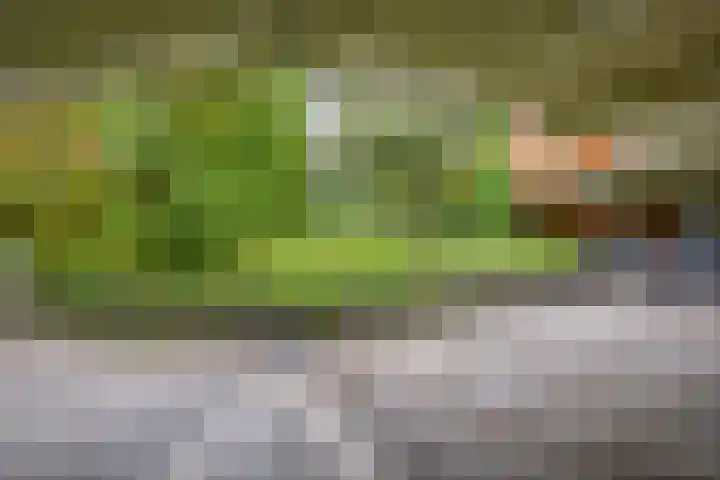 Holterberg 173 Capelle aan den IJssel thumbnail 32