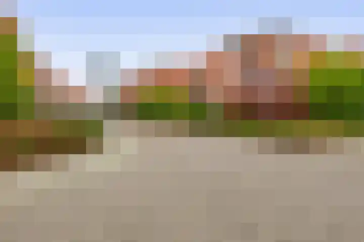 Holterberg 173 Capelle aan den IJssel thumbnail 33