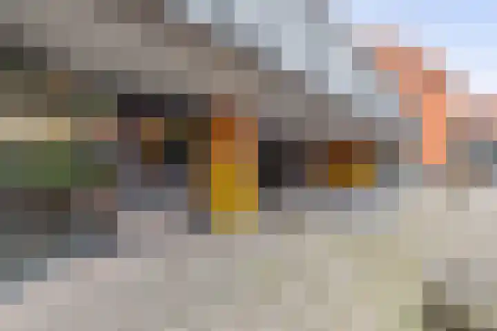 Holterberg 173 Capelle aan den IJssel thumbnail 5