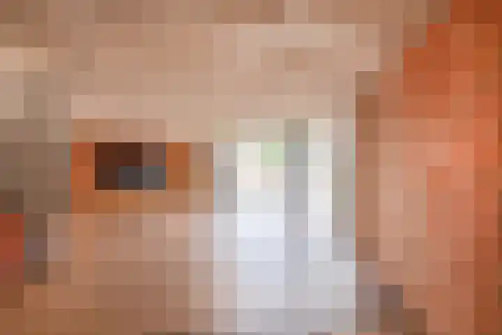 Holterberg 173 Capelle aan den IJssel thumbnail 6
