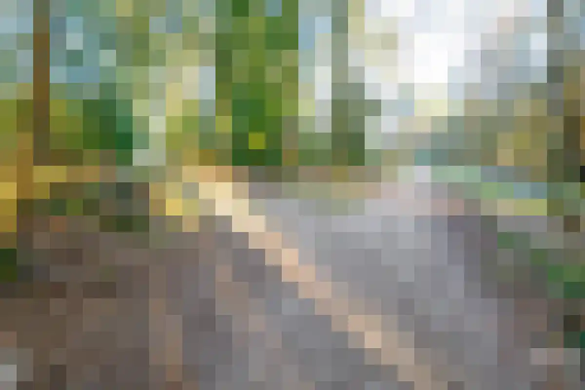 Holterbergweg 15 Holten thumbnail 4