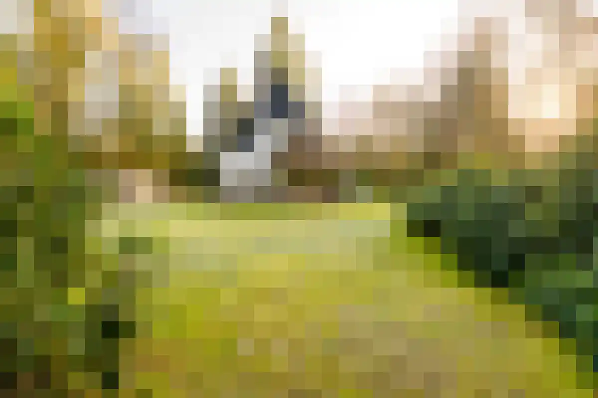 Holterbergweg 15 Holten thumbnail 7