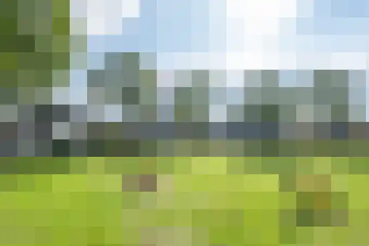 Holterbergweide 10 Helmond thumbnail 10