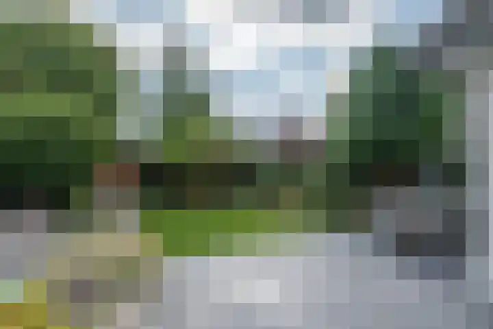 Holterbergweide 10 Helmond thumbnail 45