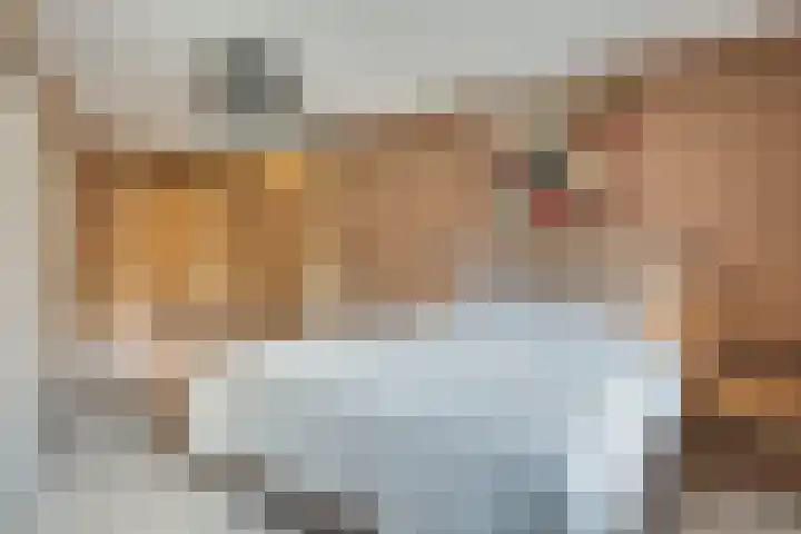Holterbergweide 10 Helmond thumbnail 6
