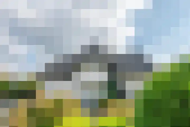 Holterbergweide 10 Helmond thumbnail 9