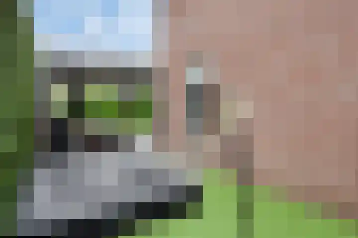 Holterbergweide 35 Helmond thumbnail 21