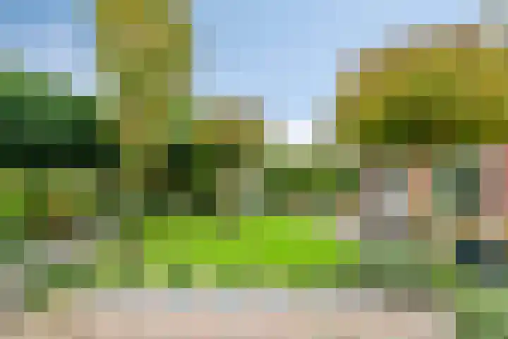 Holterbergweide 63 Helmond thumbnail 35
