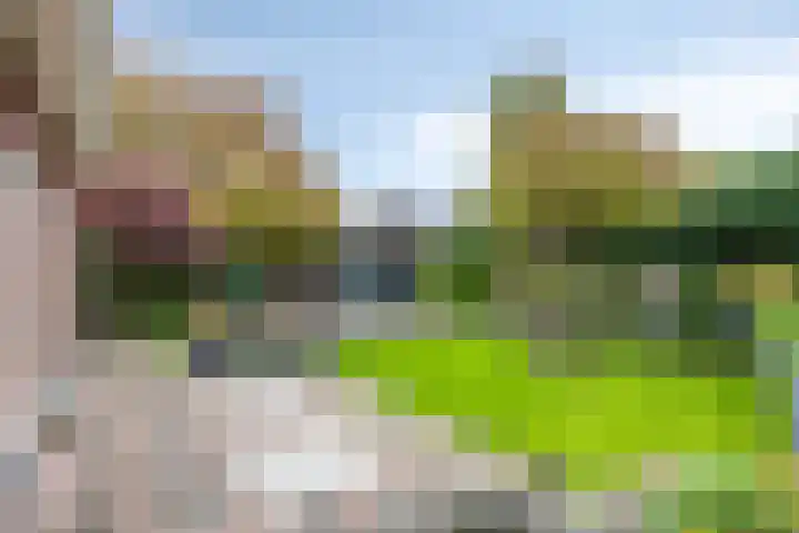 Holterbergweide 63 Helmond thumbnail 37