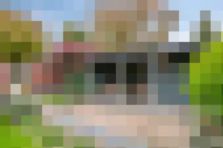 Holterbergweide 63 Helmond thumbnail 41