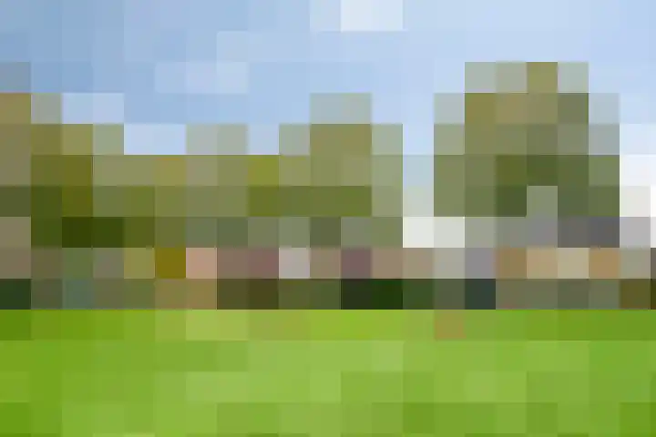 Holterbergweide 63 Helmond thumbnail 47