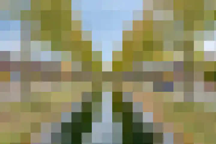 Holterbergweide 63 Helmond thumbnail 48