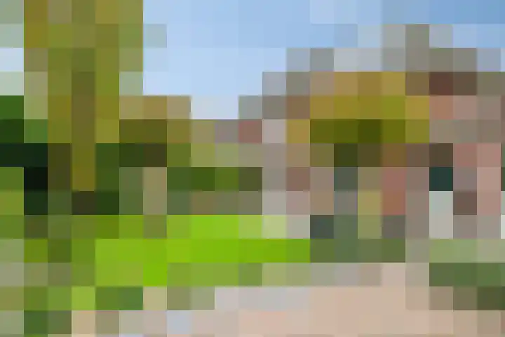 Holterbergweide 63 Helmond thumbnail 6