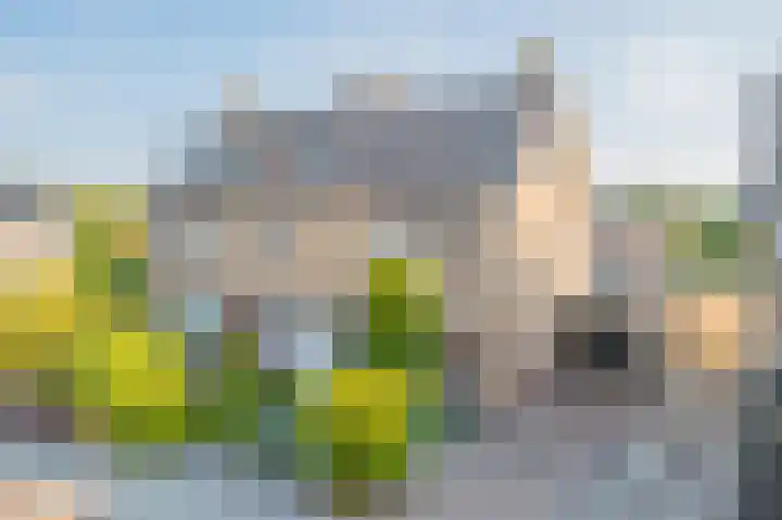 Holterenkstraat 4 in Holten