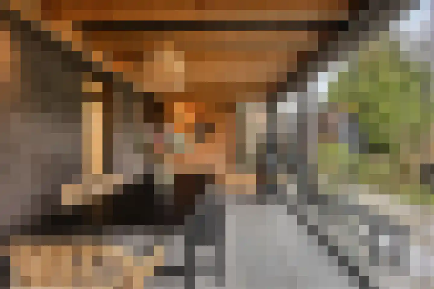 Hölterhofweg 222 Enschede thumbnail 39