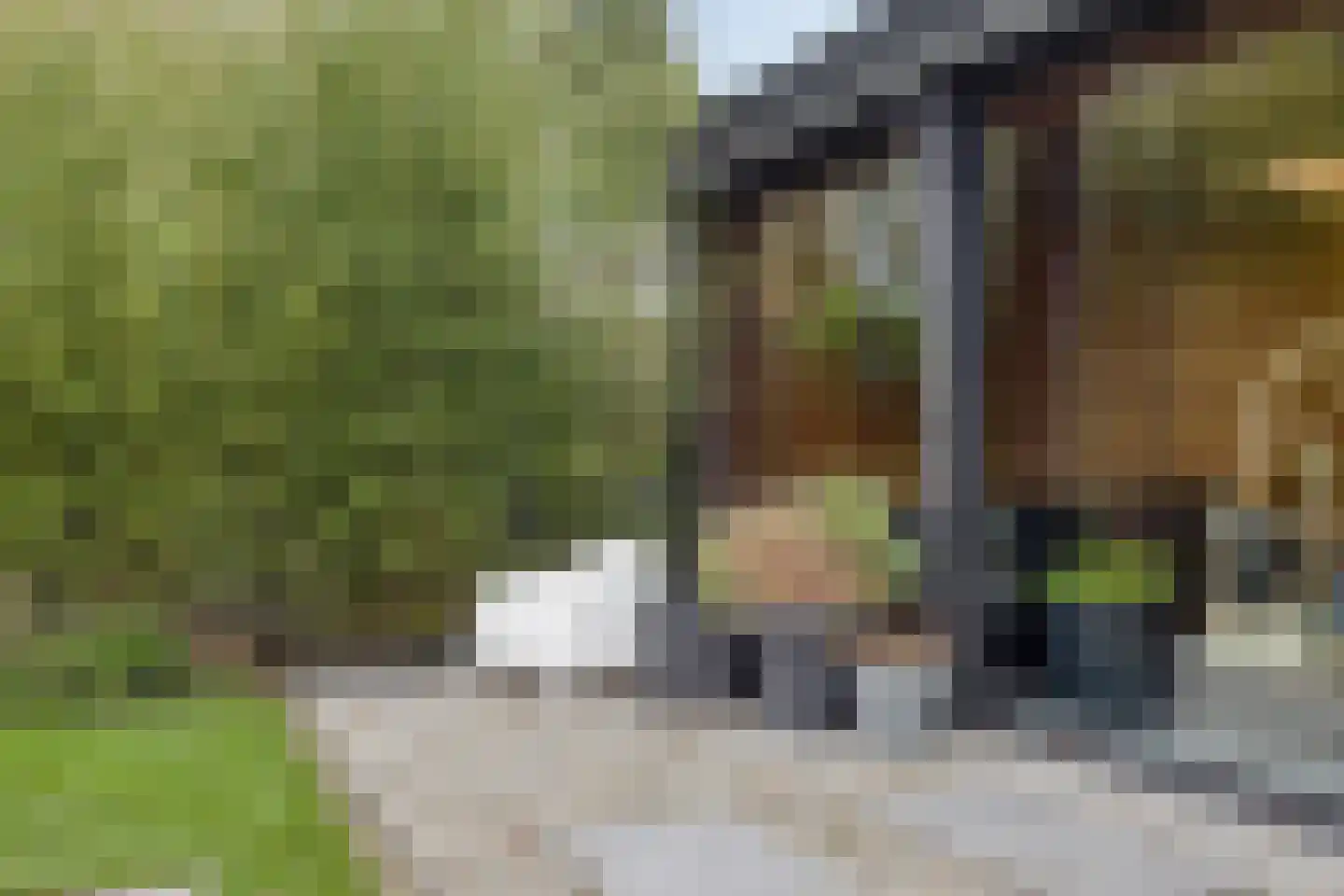 Hölterhofweg 222 Enschede thumbnail 47