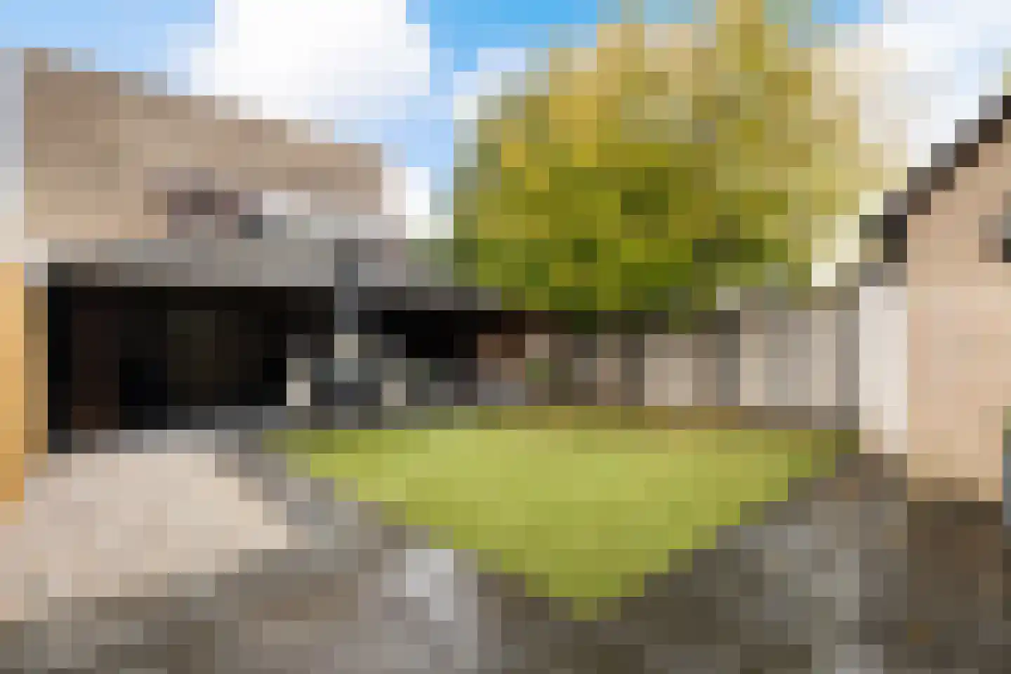 Holterschans 11 Nieuwegein thumbnail 20