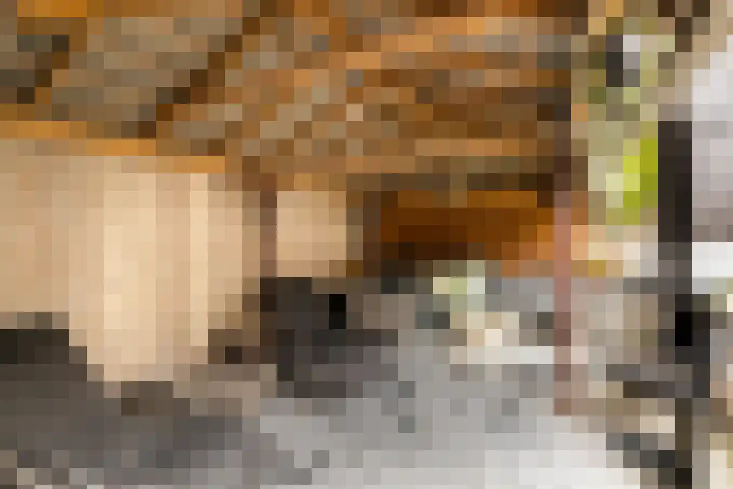 Holterschans 11 Nieuwegein thumbnail 21