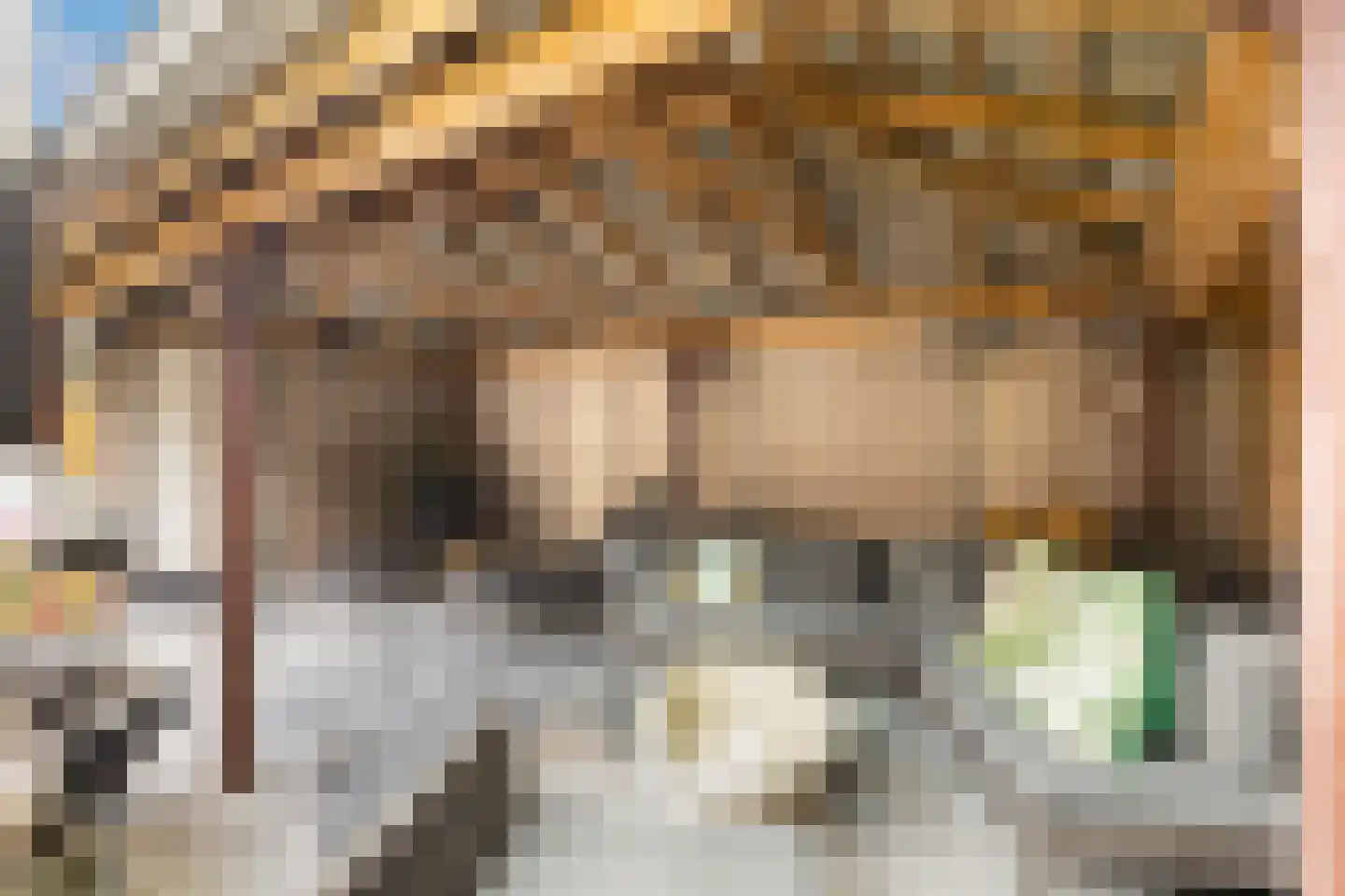 Holterschans 11 Nieuwegein thumbnail 22