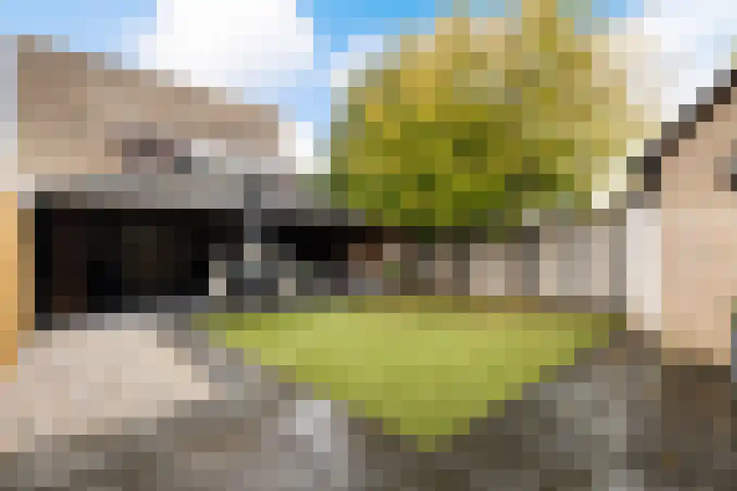 Holterschans 11 Nieuwegein thumbnail 6