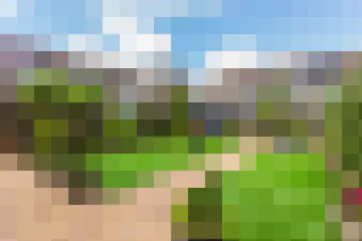 Holterschans 13 Nieuwegein thumbnail 17