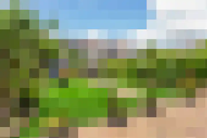 Holterschans 13 Nieuwegein thumbnail 18