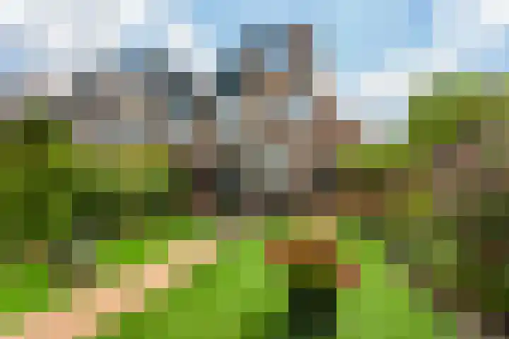 Holterschans 13 Nieuwegein thumbnail 22