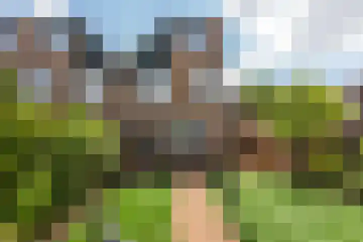 Holterschans 13 Nieuwegein thumbnail 23