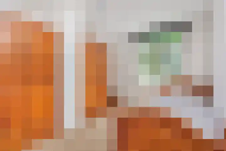 Holterschans 13 Nieuwegein thumbnail 31