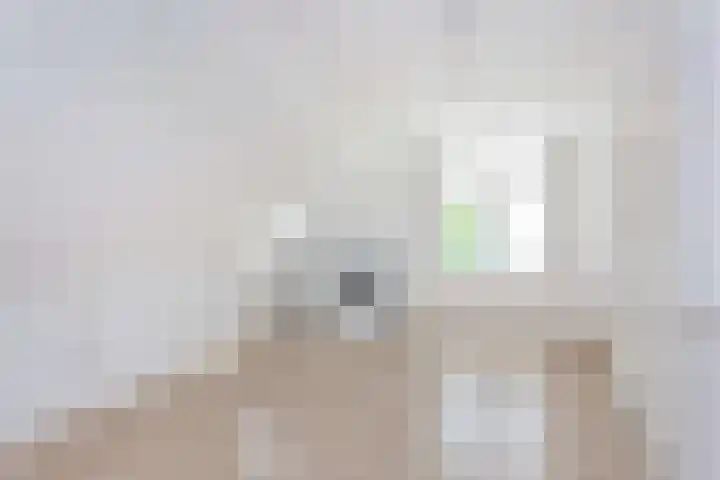 Holterschans 13 Nieuwegein thumbnail 35