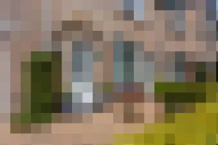 Holterschans 13 Nieuwegein thumbnail 4