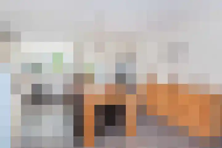 Holterschans 13 Nieuwegein thumbnail 7